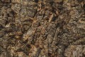 5-portugalska-kora-z-korka-naturalnego.jpg
