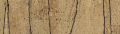 korkoleum-divina-fig-wykladzina-korkowa-na-rolce.jpg