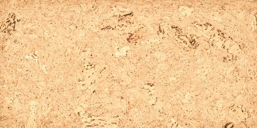 Laguna (Tenerife Natural)_1 (1000x500).jpg
