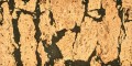 Rustico P_1 (4000x2000).jpg