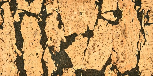 Rustico P_1 (1000x500).jpg