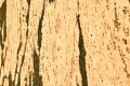 Rustico P_5.jpg