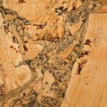 panel-scienny-korek-marea.jpg