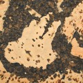 panel-scienny-korek-aquarius.jpg