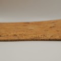 panel-scienny-korek-laguna.jpg