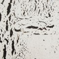 korek-scienny-dekoracyjny-europa-pb.jpg