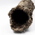 srednia-rura-korkowa-z-portugalskiego-debu-korkowego.jpg