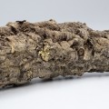 male-galezie-korkowe-portugalskie-do-paludarium.jpg