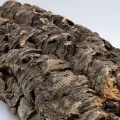 male-galezie-z-korka-portugalskie-do-akwarium.jpg