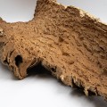 naturalny-plat-korkowy-z-portugalskiej-kory-debu-korkowego-dab-korkowy.jpg