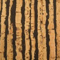 korek-dekoracyjny-na-sciane-tigre.jpg
