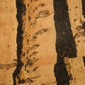 panele-korkowe-scienne-tigre.jpg