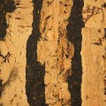 panel-scienny-korek-tigre.jpg