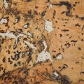korek-scienny-dekoracyjny-vario-blanco.jpg