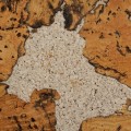 plytki-korkowe-na-sciane-vario-blanco.jpg
