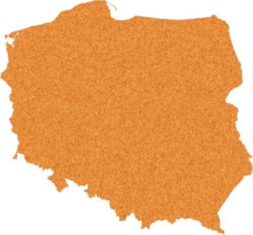 korkowa-mapa-polski-scienna-polska(1).jpg