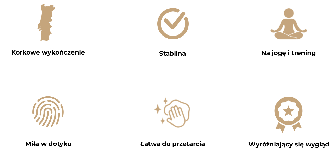 Obraz przedstawia sześć ikon opisujących zalety korkowej maty Asana Flow.