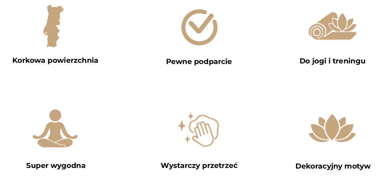 Obraz przedstawia sześć ikon opisujących zalety korkowej maty Lotus Orbit.