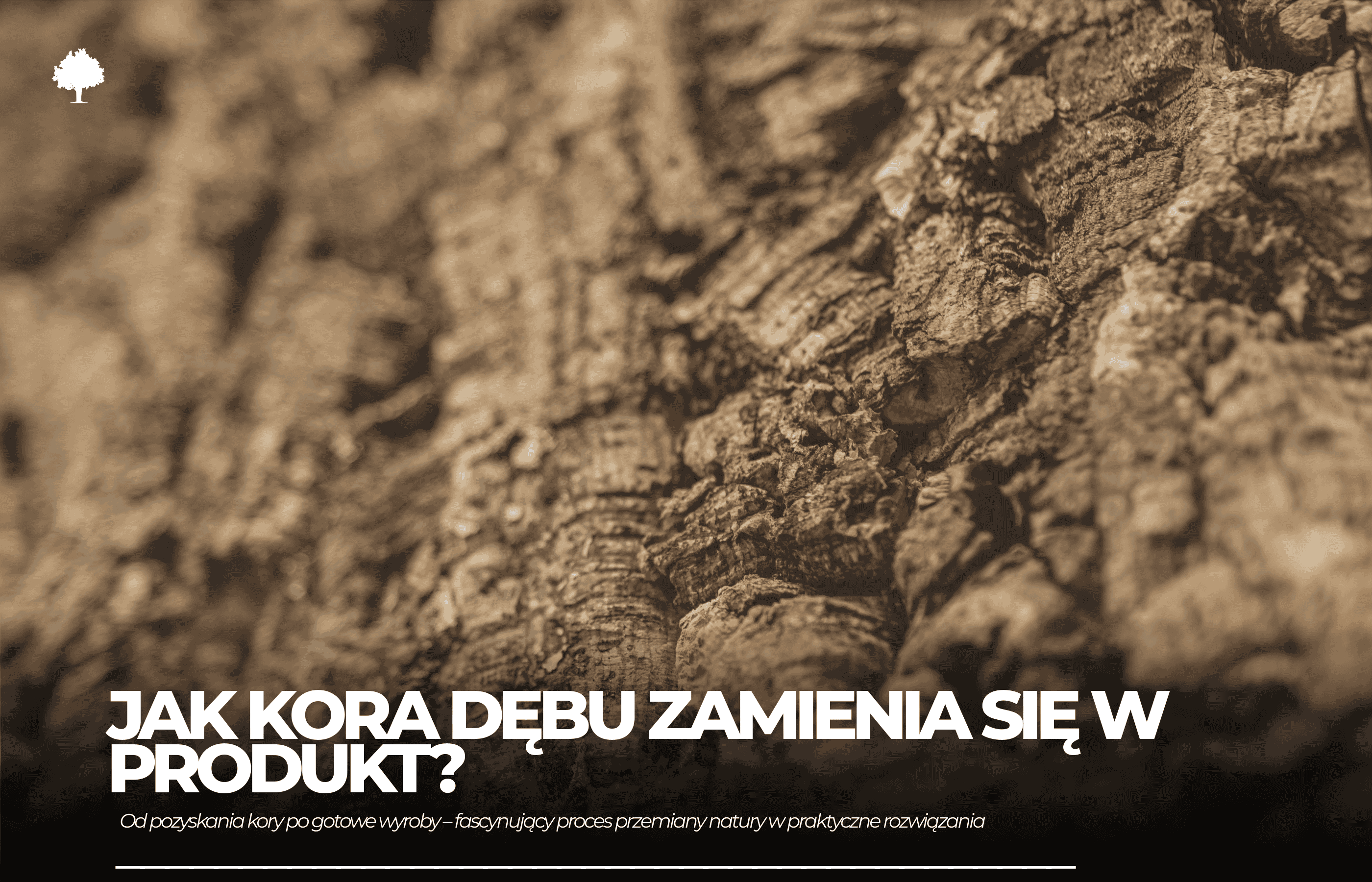 Jak kora dębu zmienia się w gotowy produkt?