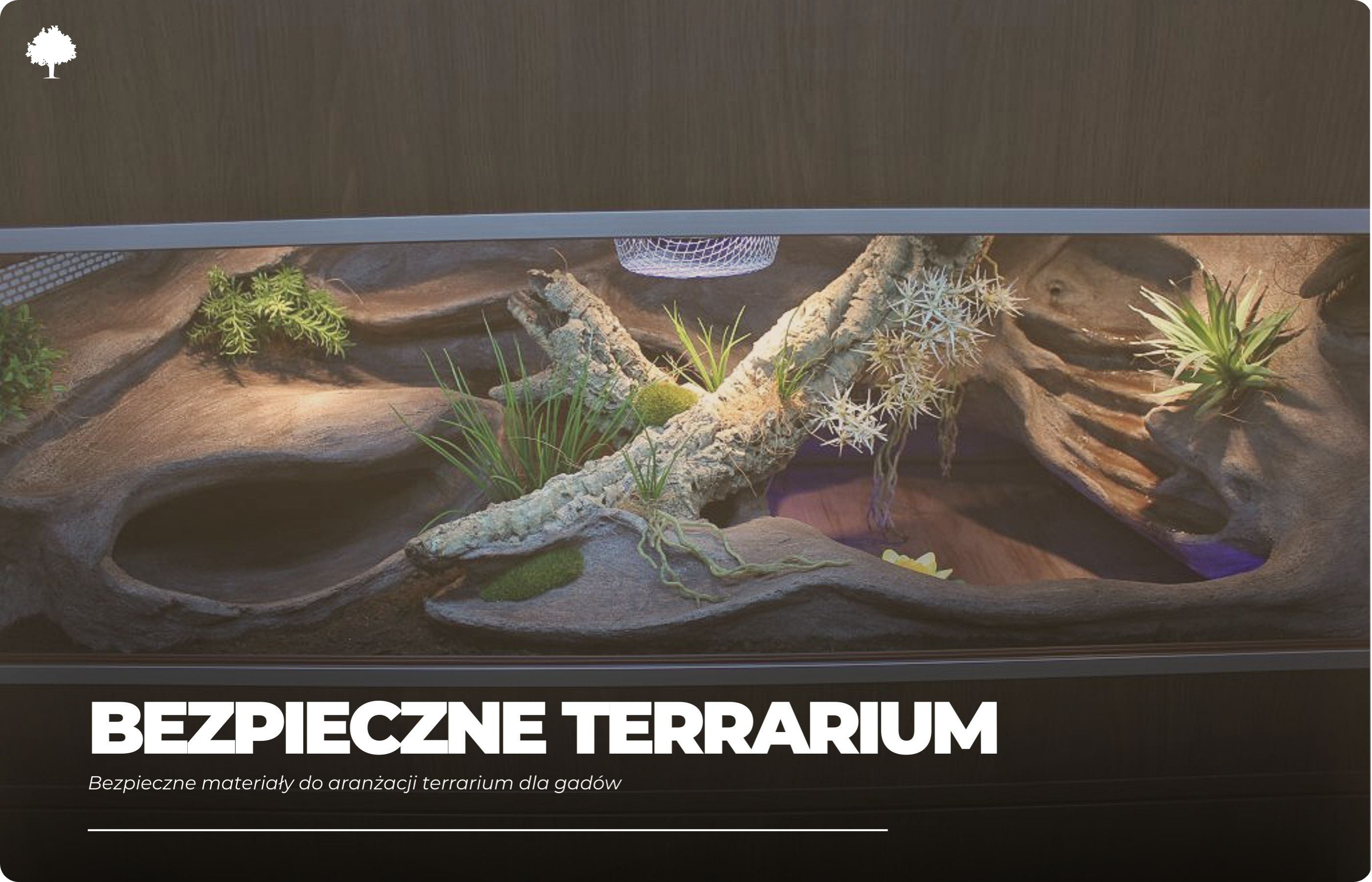 Bezpieczne materiały do aranżacji terrarium dla gadów