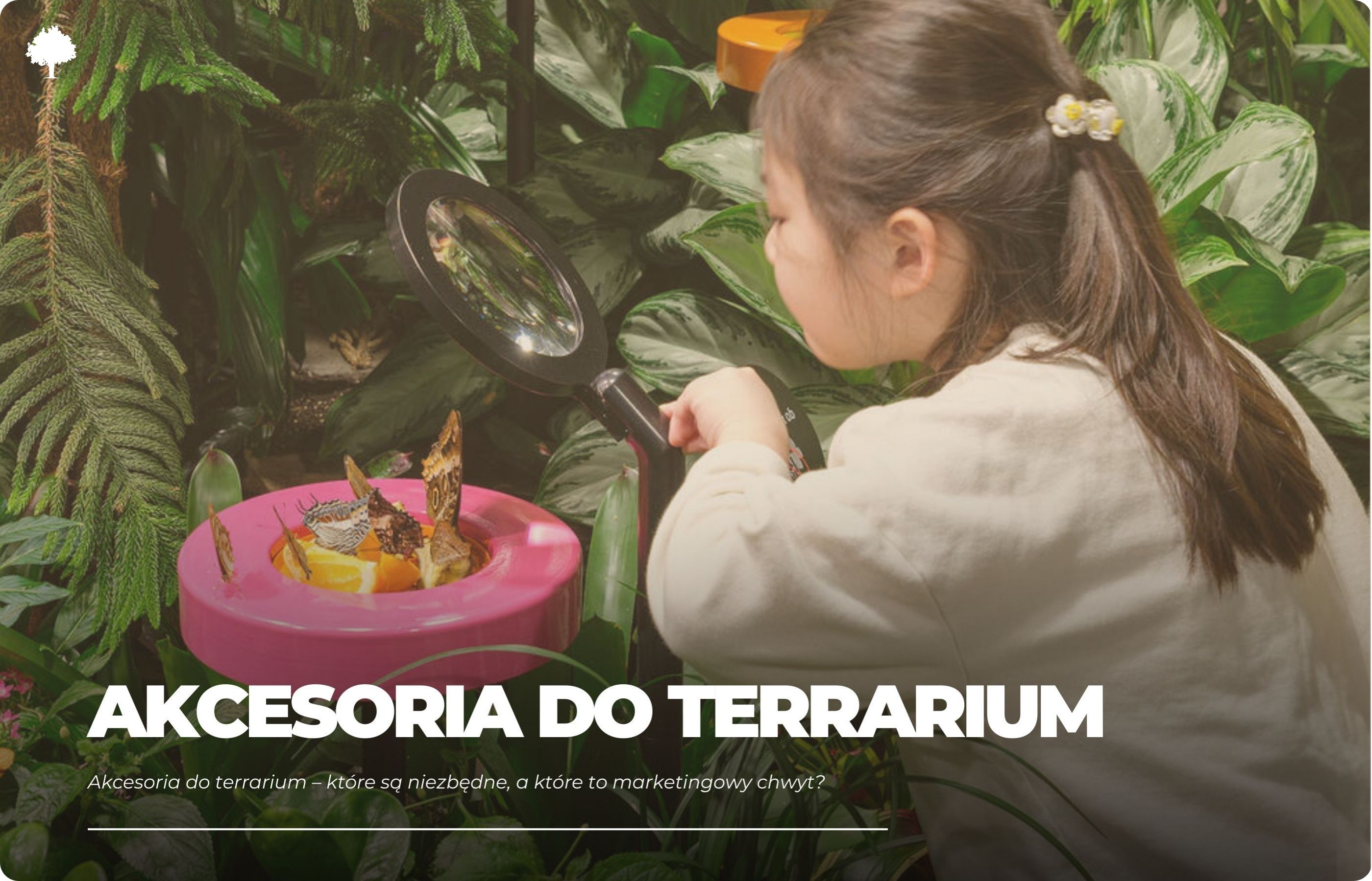 Akcesoria do terrarium – które są niezbędne, a które to marketingowy chwyt?