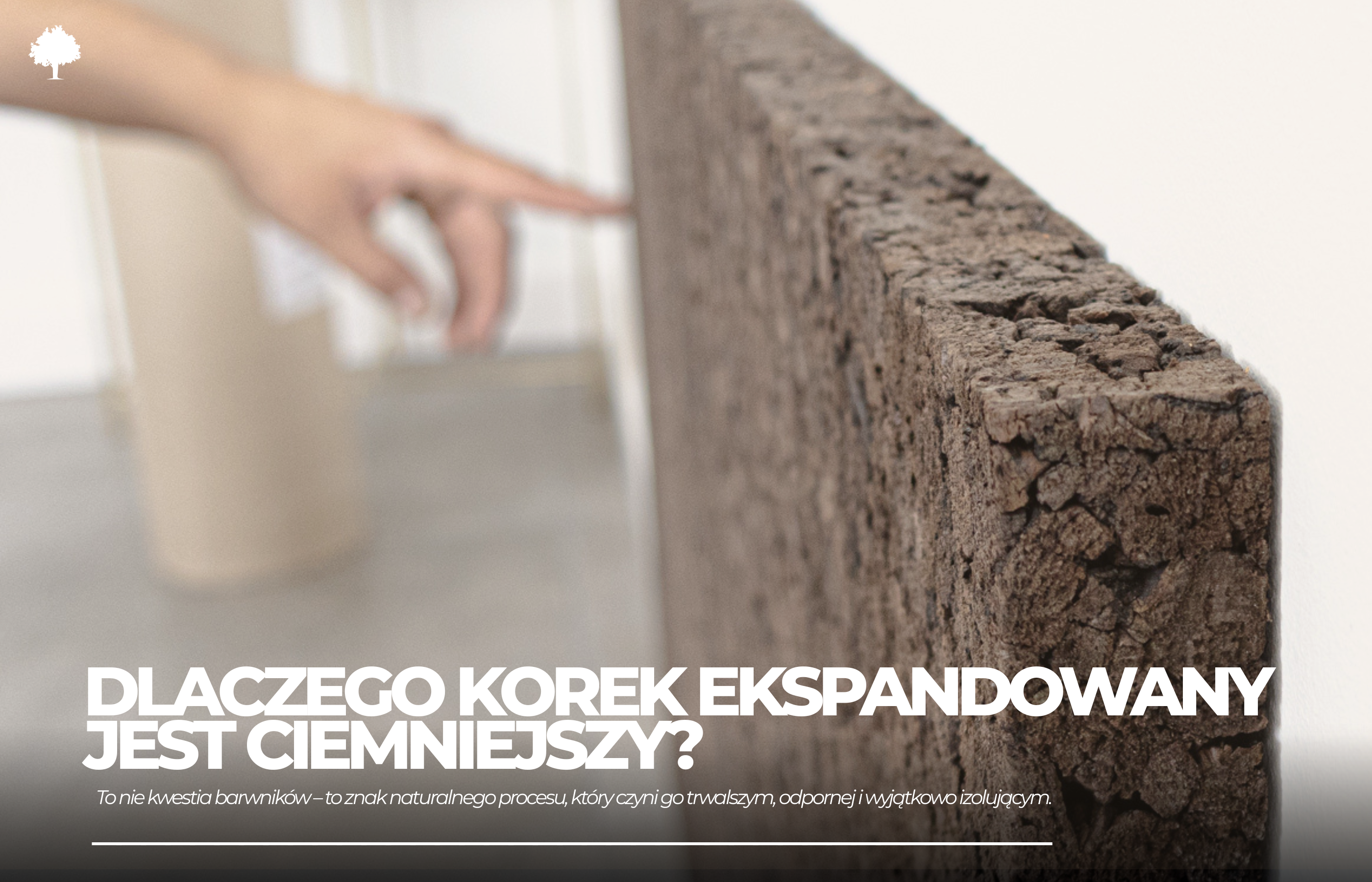 Dlaczego korek ekspandowany ma inny kolor niż „zwykły” korek?