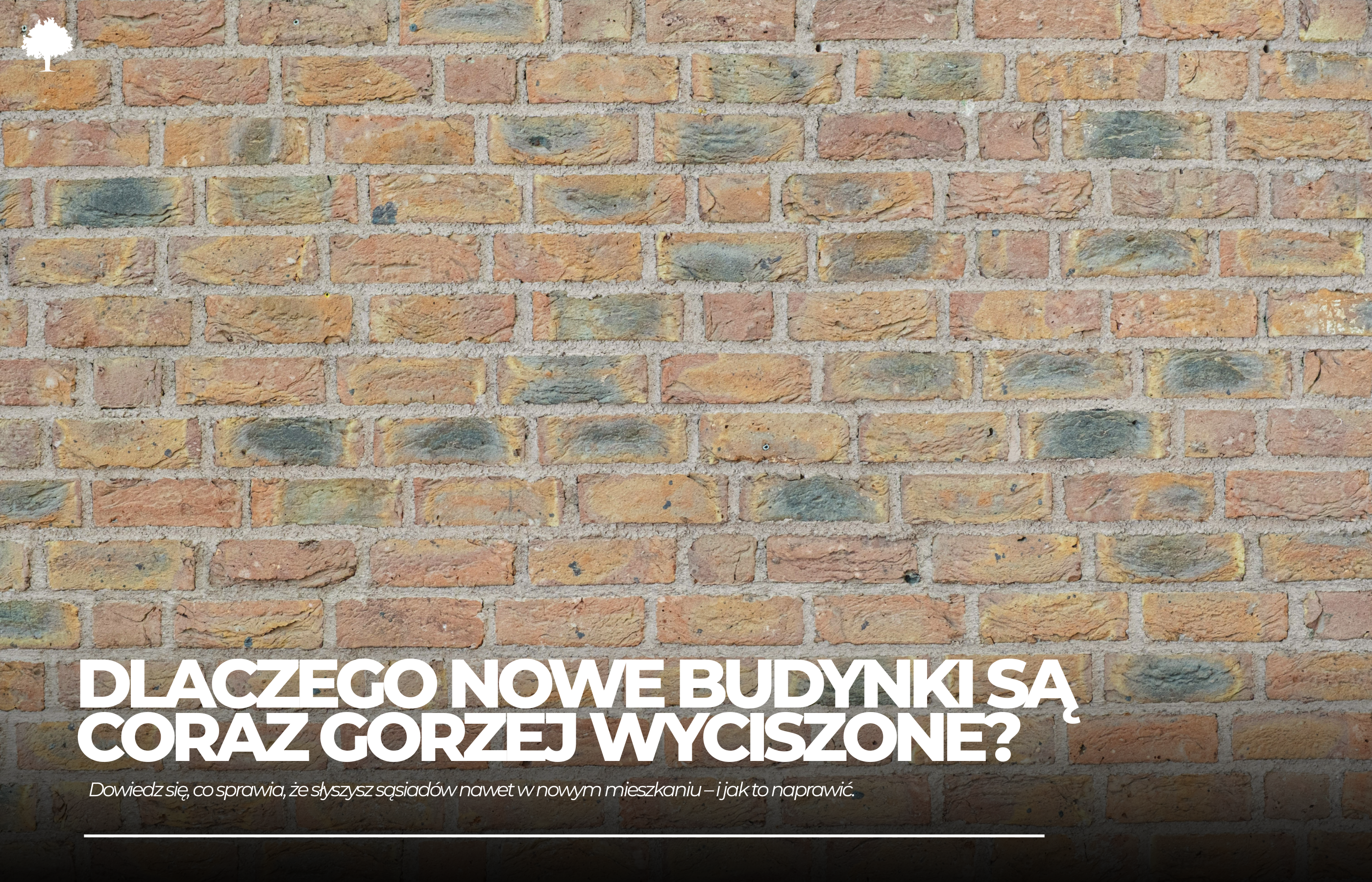 „Przez tę ścianę wszystko słychać!” – dlaczego budynki są coraz gorzej wyciszone?