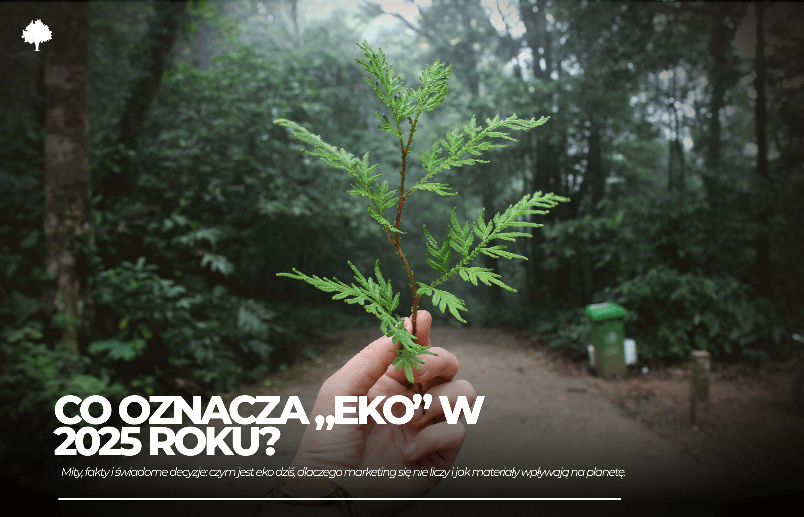 Co oznacza „być eko” w 2025? Weryfikujemy mity