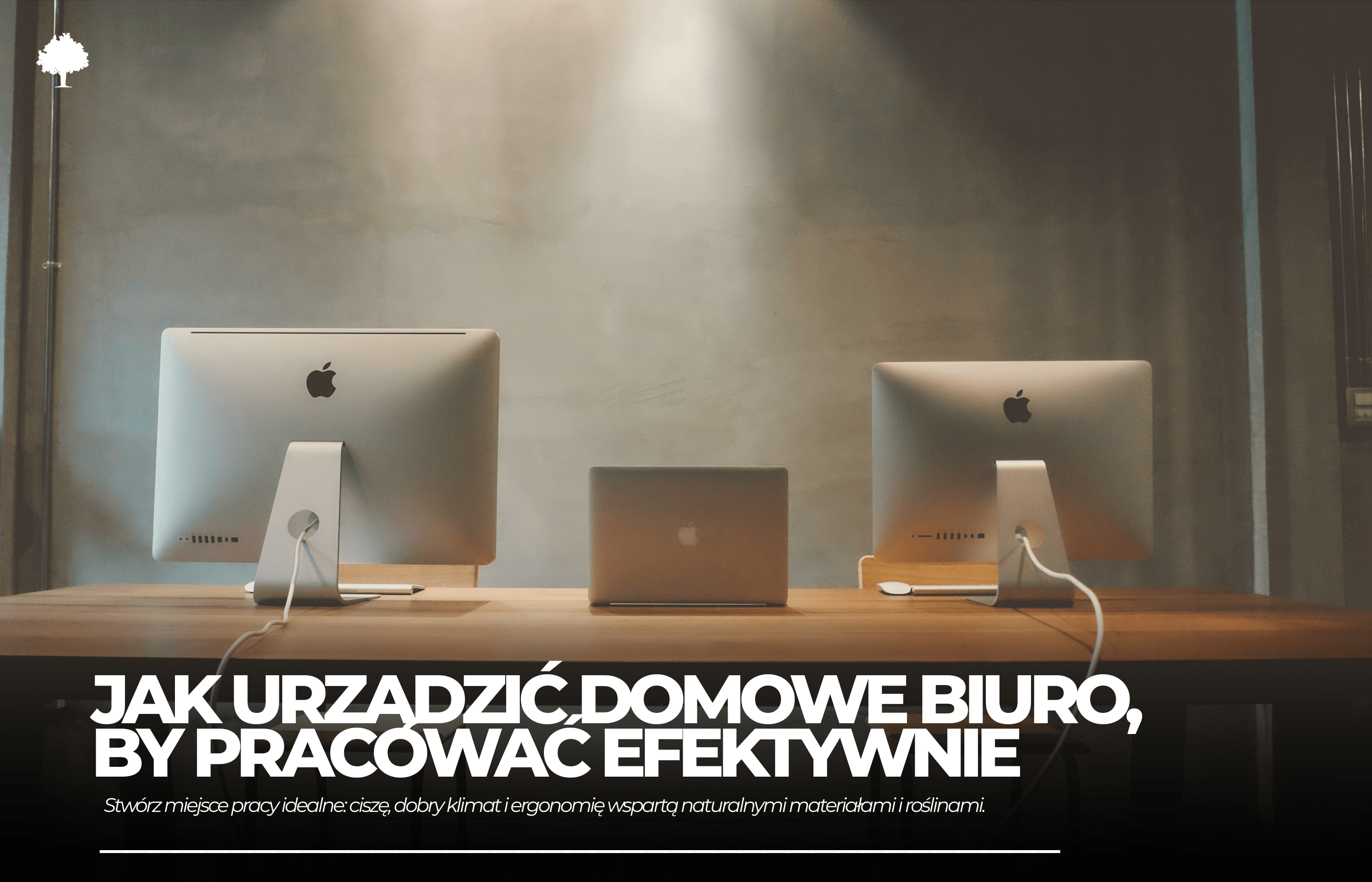 Jak urządzić domowe biuro, by pracować efektywnie i zdrowo?