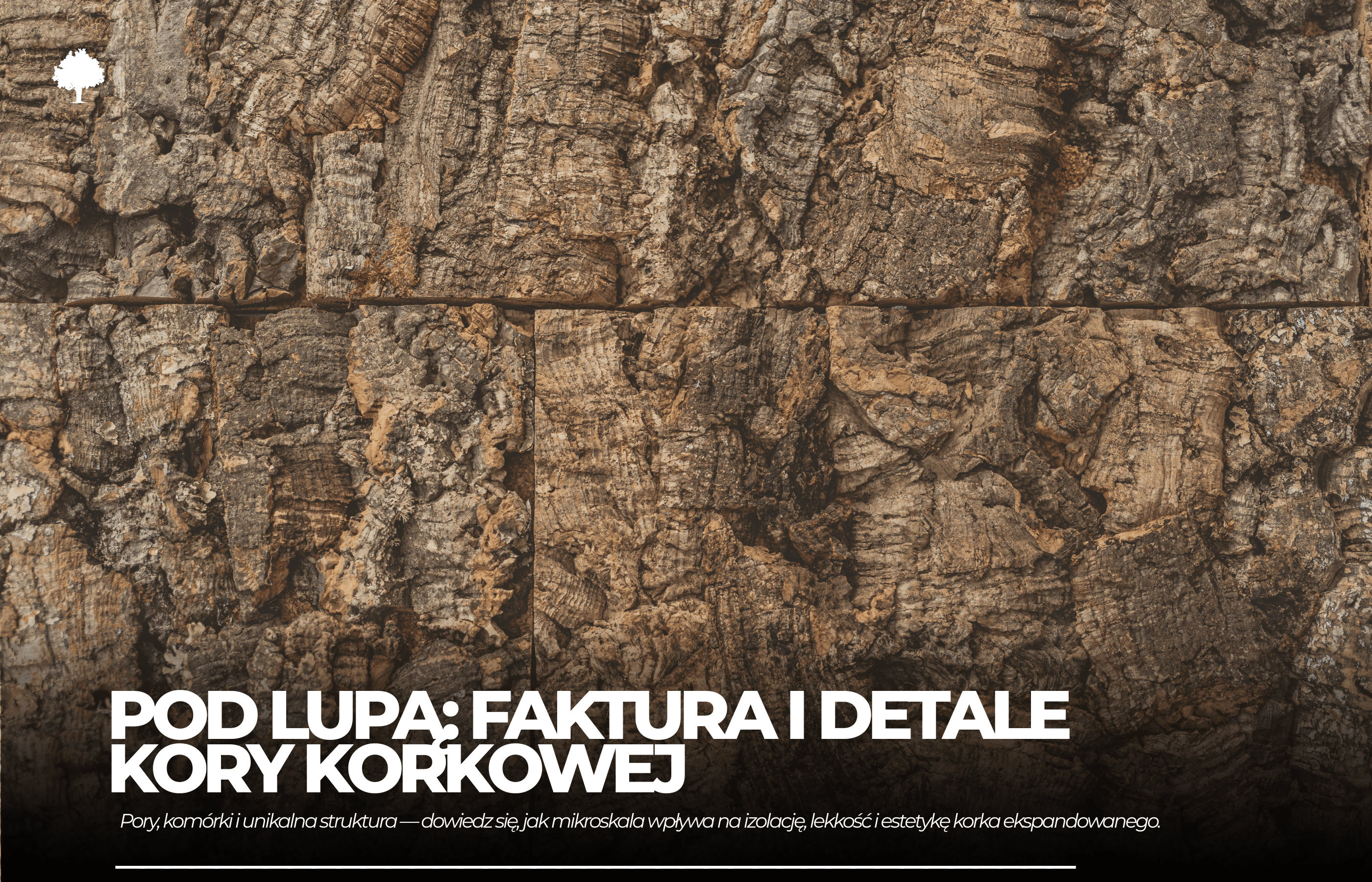 Pod lupą: faktura i detale kory korkowej