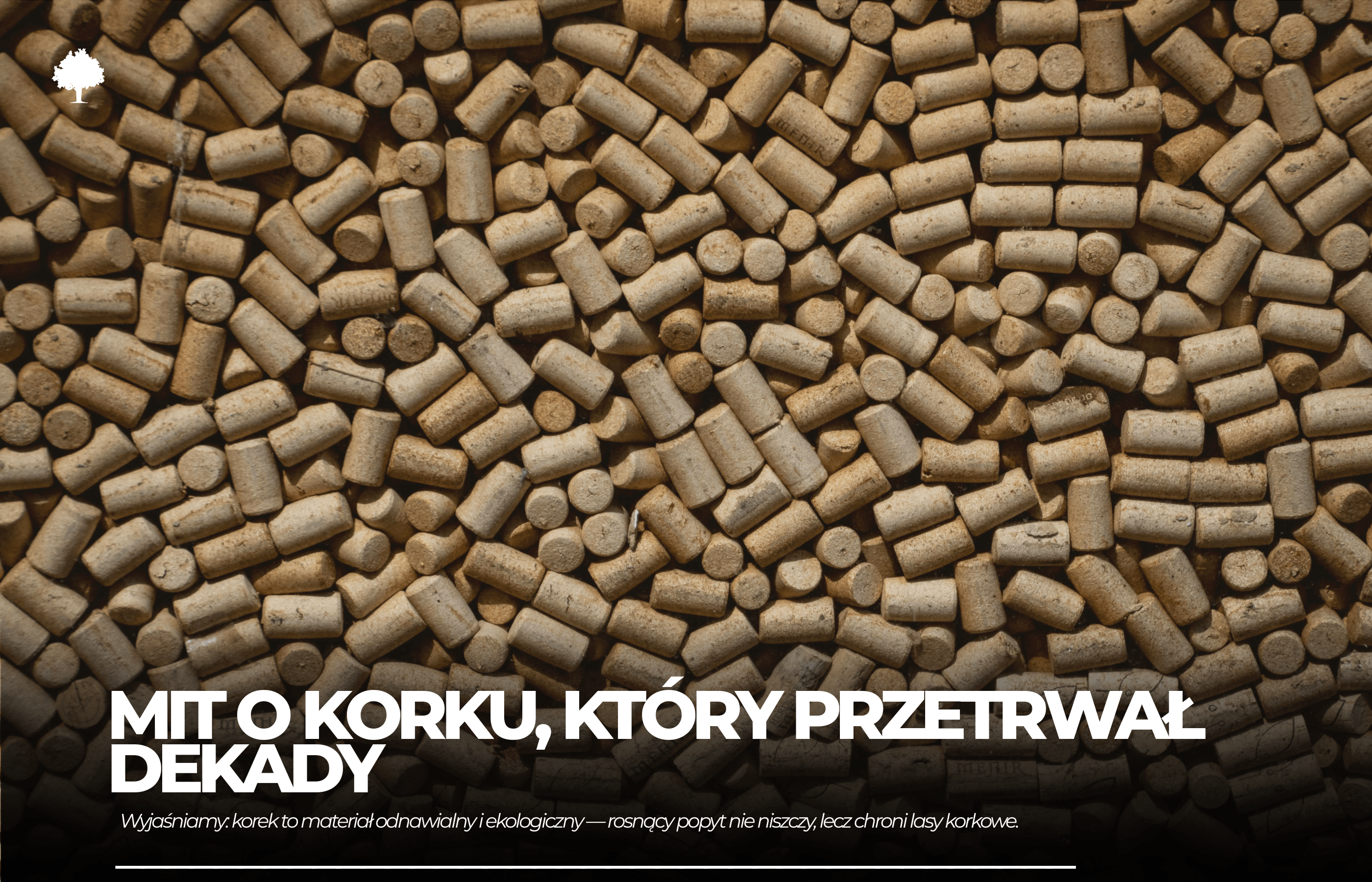 Mit o korku, który przetrwał dekady. I wciąż wprowadza ludzi w błąd