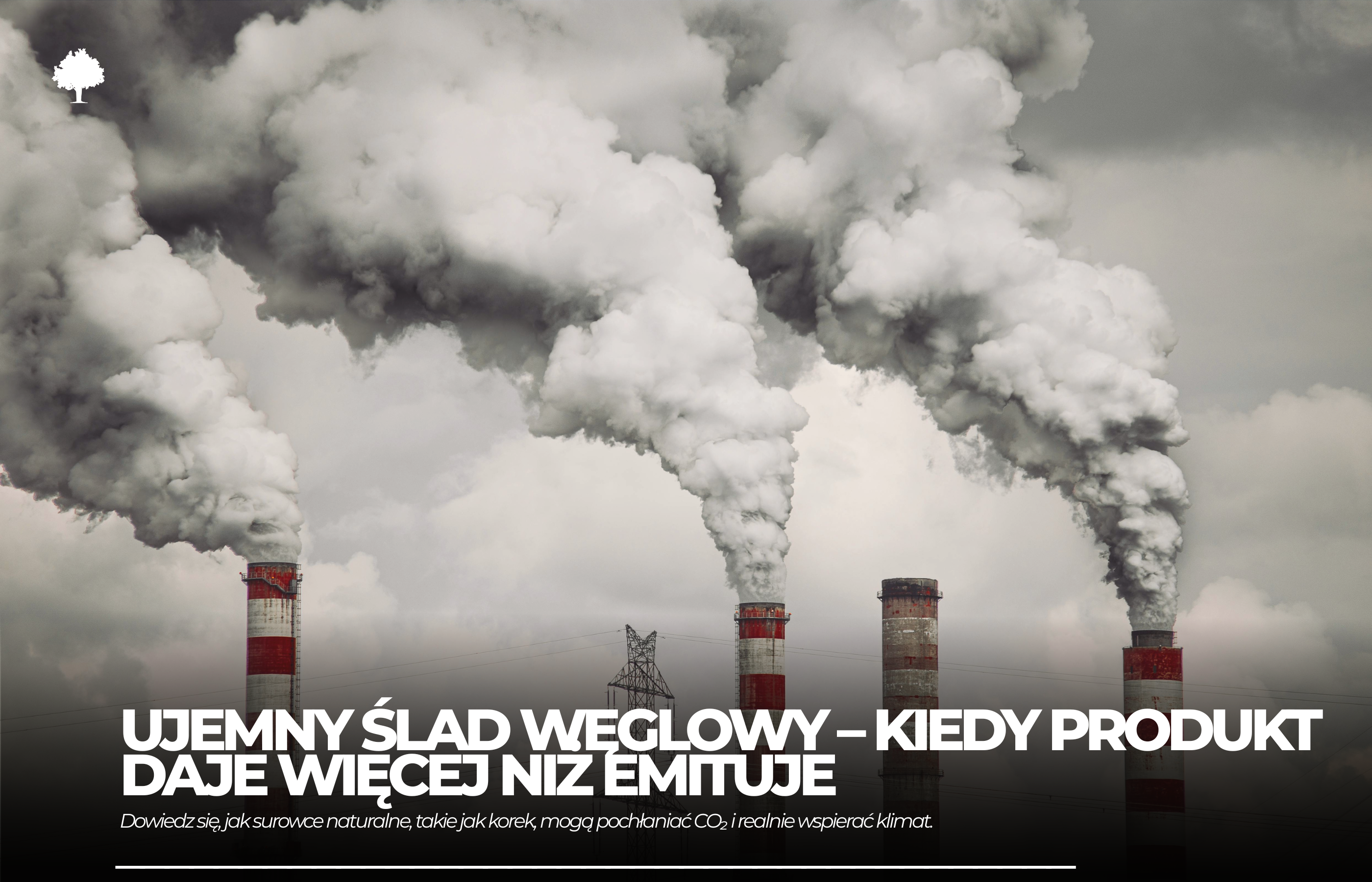 Ujemny ślad węglowy – brzmi świetnie, ale co to właściwie znaczy?