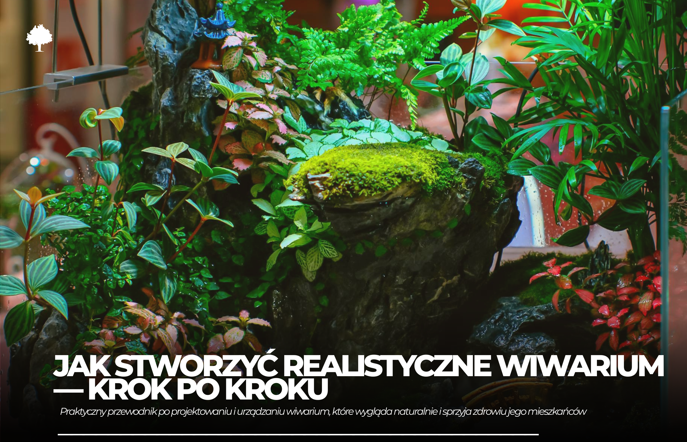 Jak stworzyć realistyczne wnętrze wiwarium?