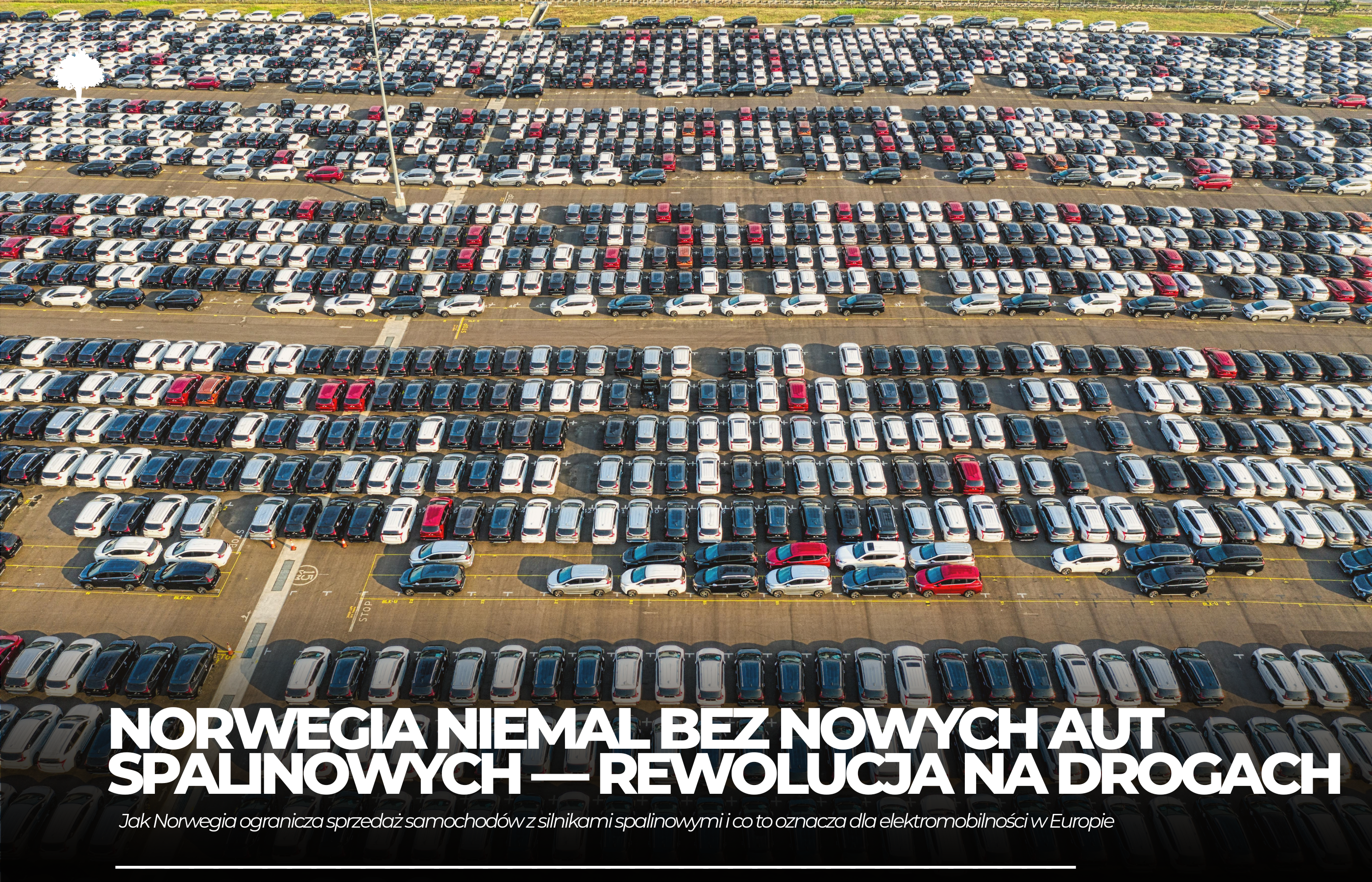 Norwegia niemal bez nowych aut spalinowych. Dlaczego się udało?