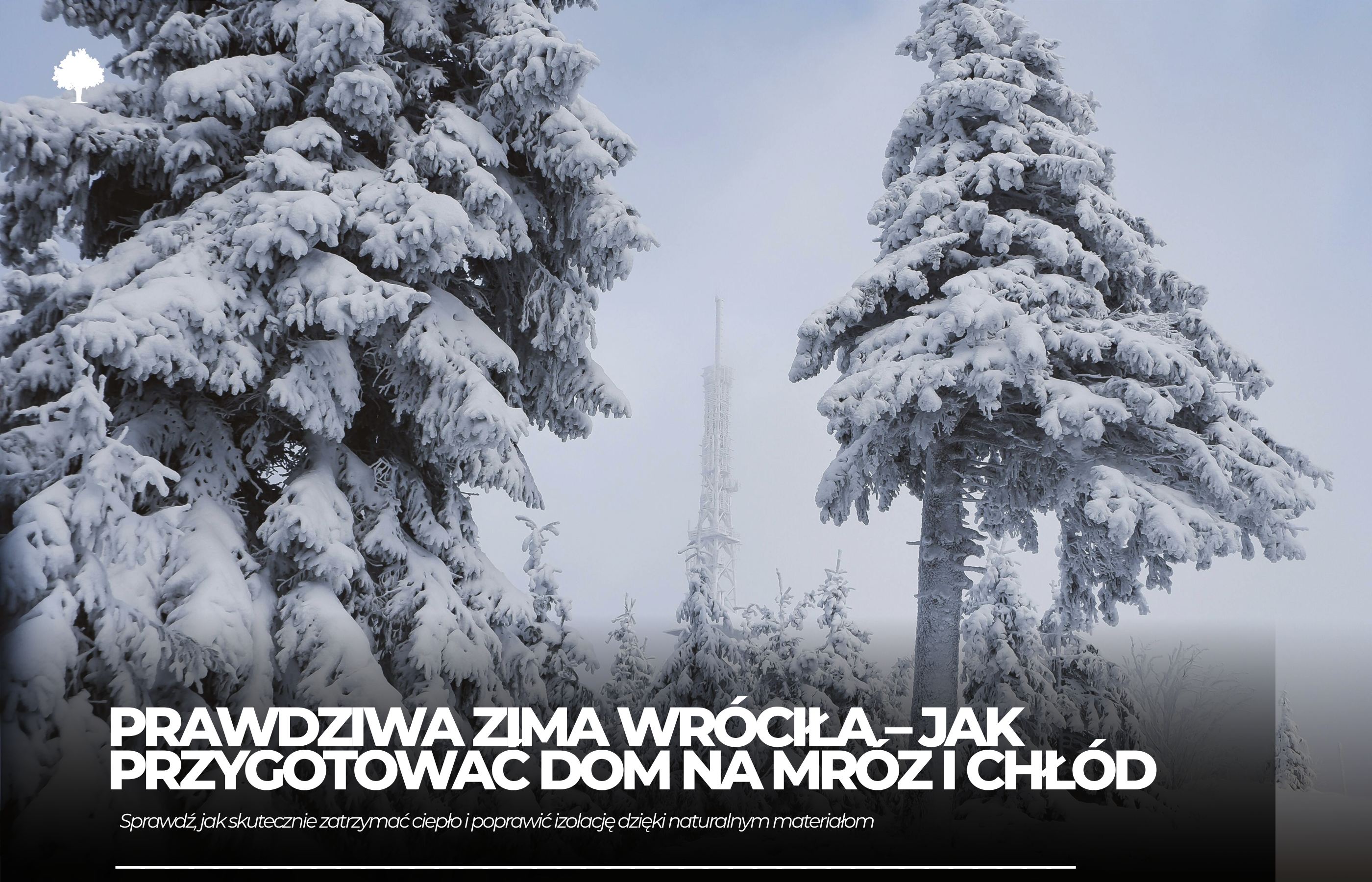 Prawdziwa zima wróciła. Czego nas nauczyła?
