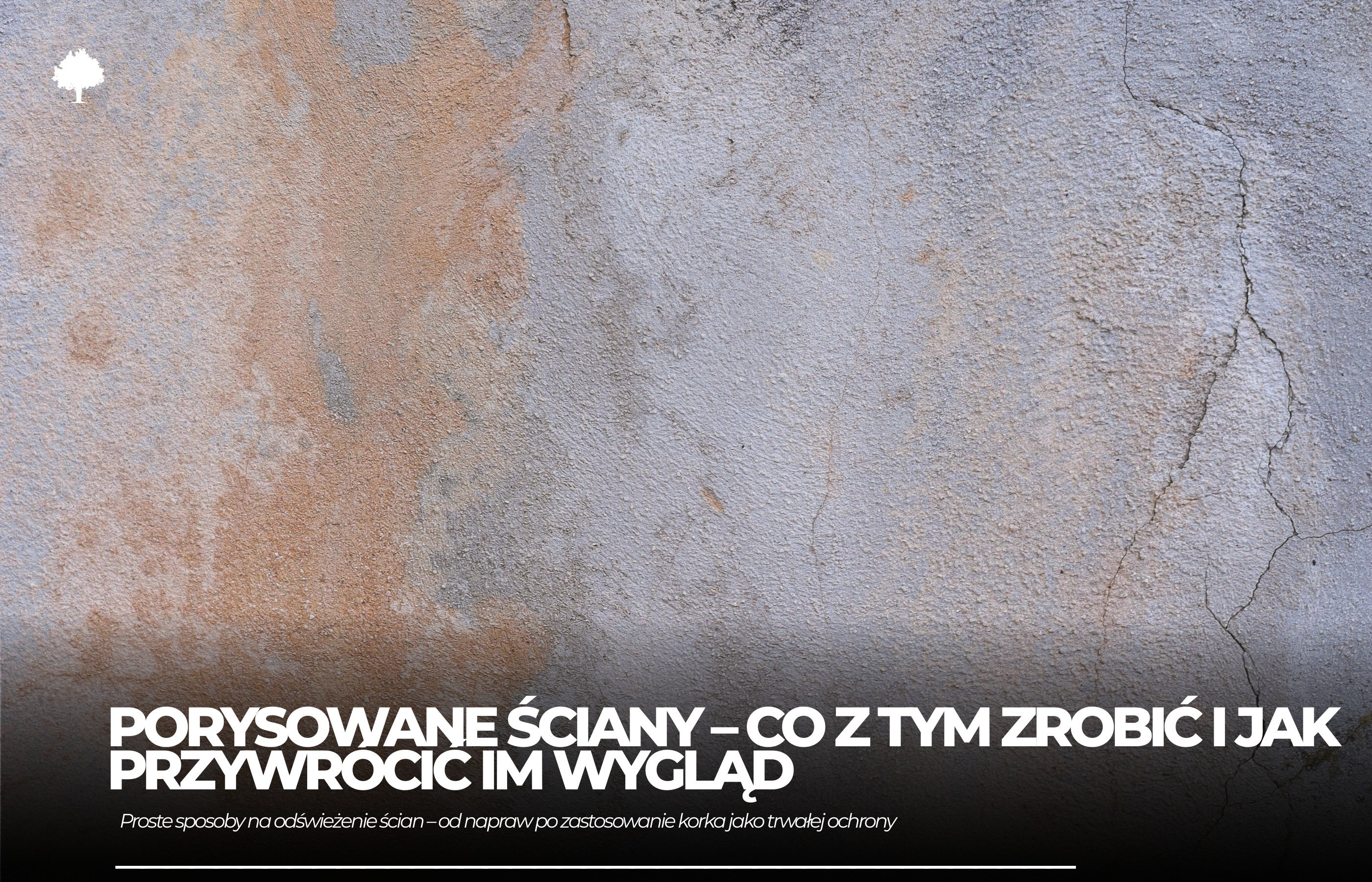 Obite, porysowane, zabrudzone – ściany szybko się niszczą. Co z tym zrobić?