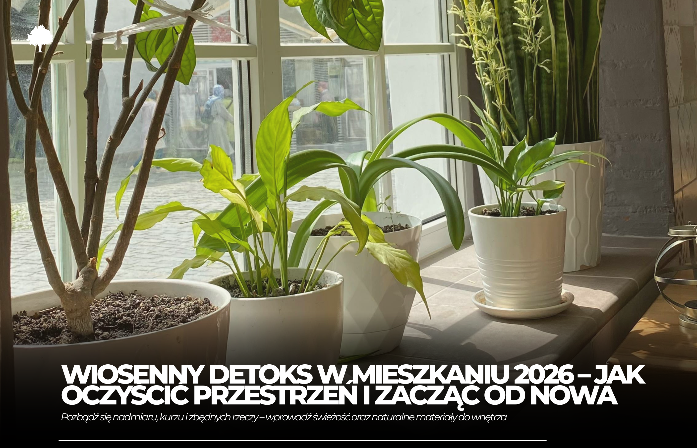 Wiosenny „detoks” mieszkania: korek, światło i rośliny