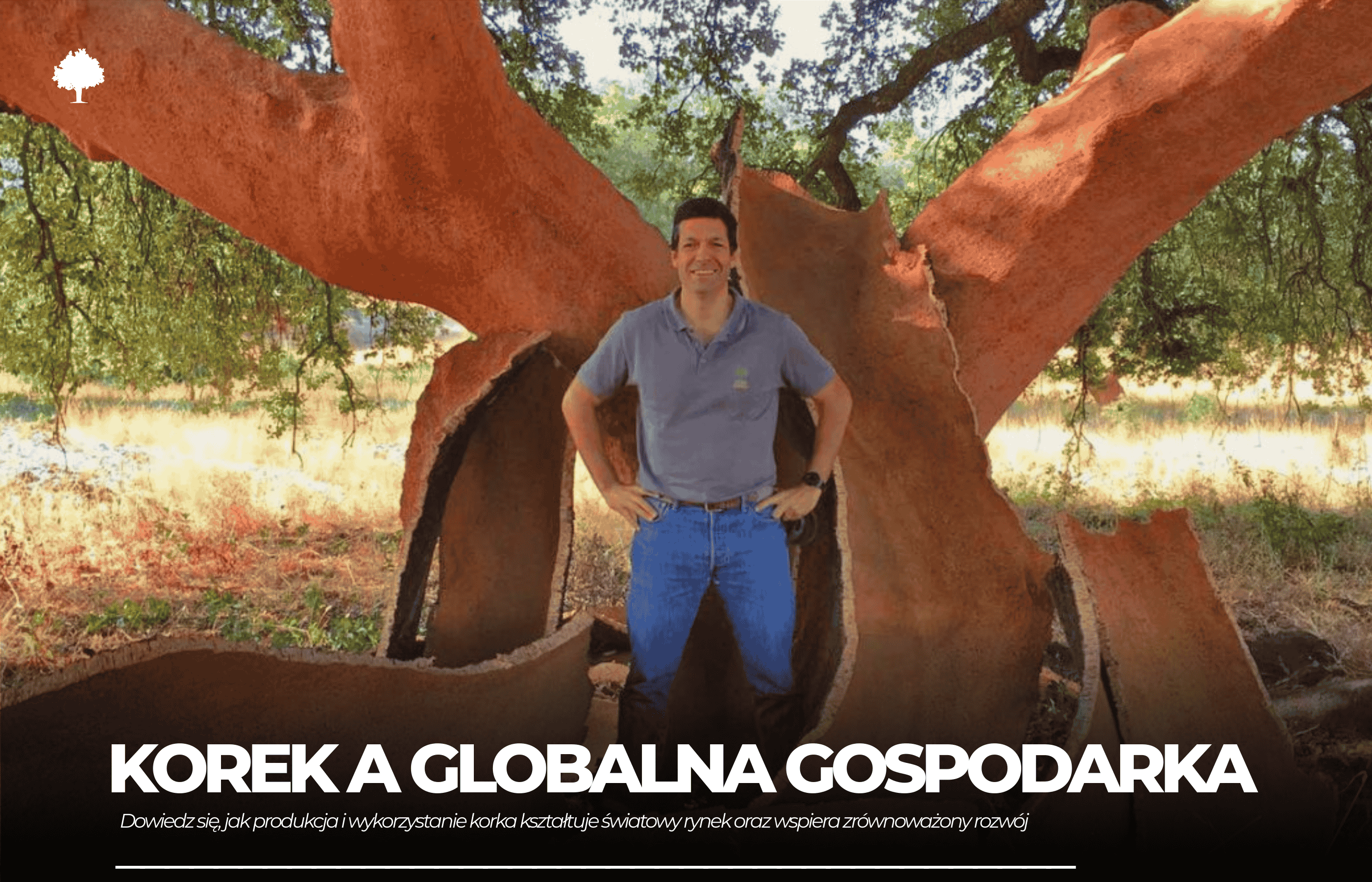 Jak wyroby z korka wpływają na globalną gospodarkę?