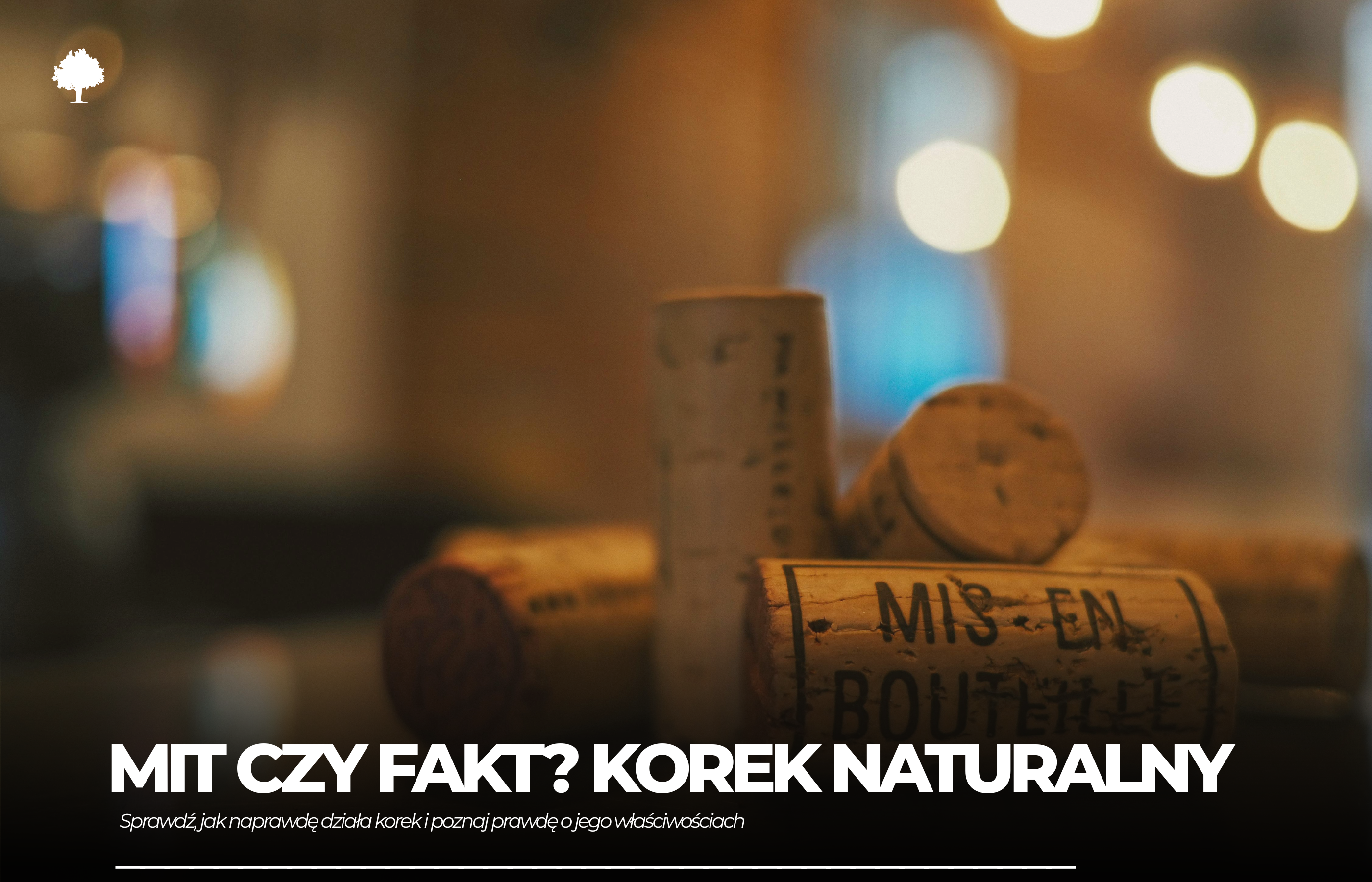 Obalamy mity na temat korka: Krok po kroku